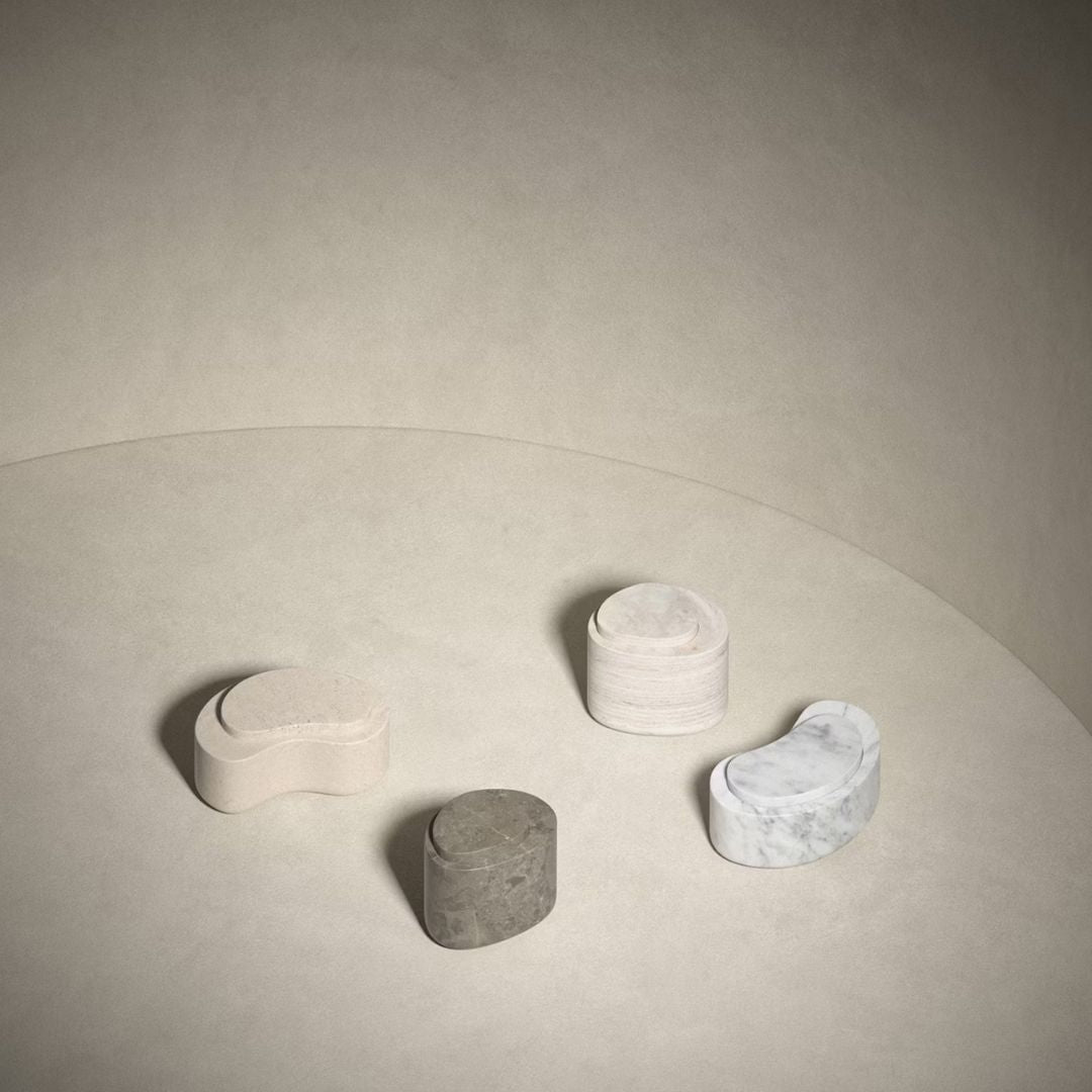 Salvatori｜Anima Box - S